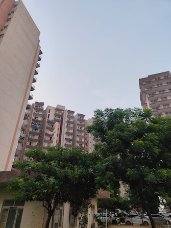 3 BHK Apartment For Rent in ROF Aalayas Sector 102 Gurgaon  7803474