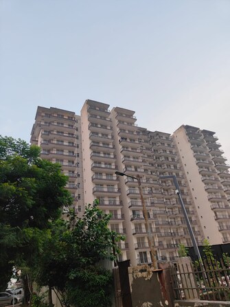 3 BHK Apartment For Rent in ROF Aalayas Sector 102 Gurgaon  7803474