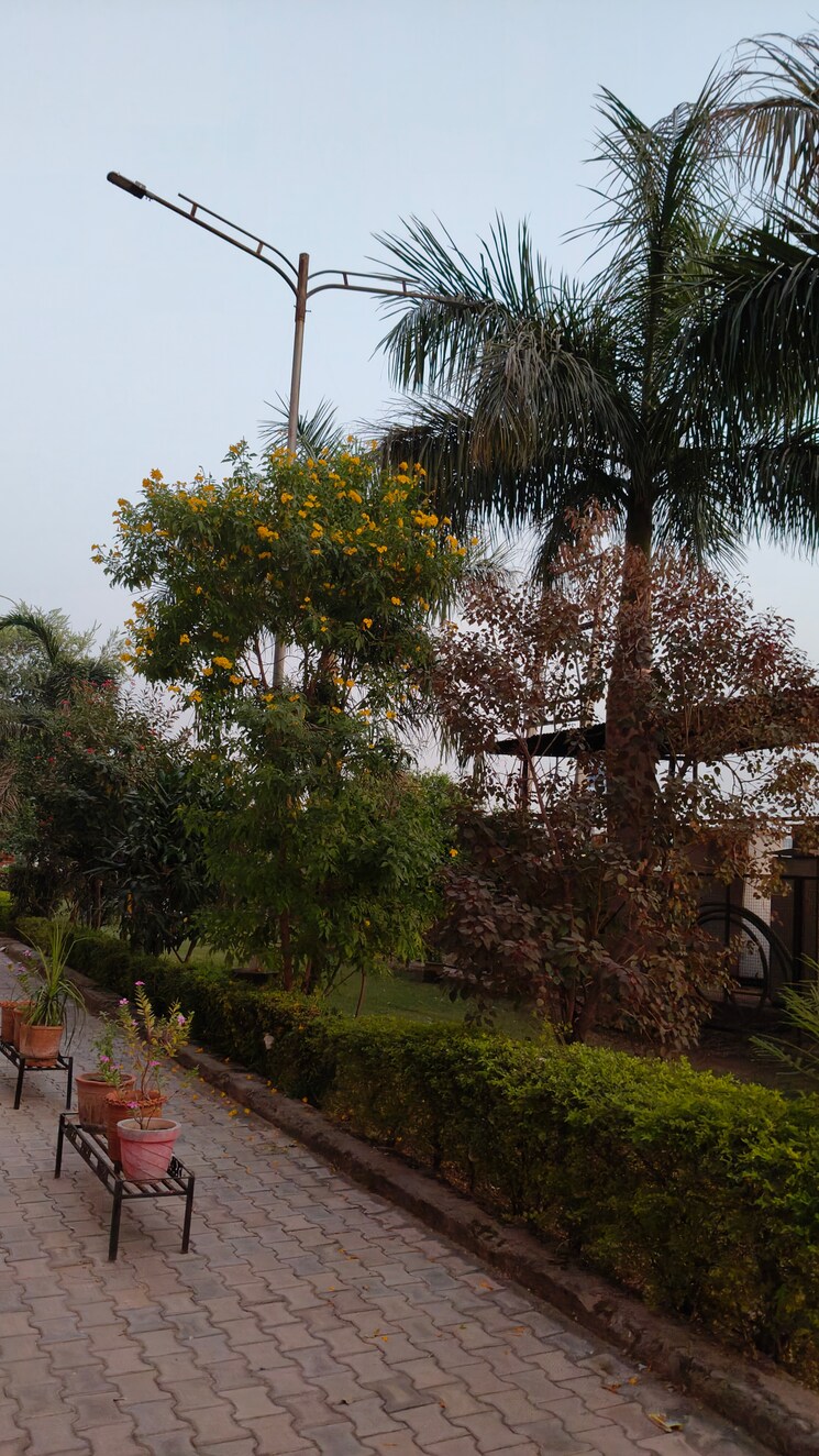 undefined, sector 21  162 Sq.Yd. Plot In Sector 21 Panchkula 7803505