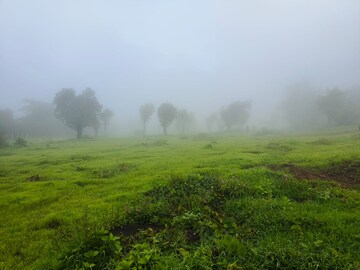  Plot For Sale in Mangaon