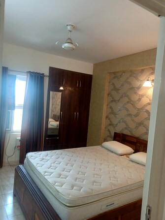 3 BHK Apartment For Rent in BPTP Princess Park Sector 86 Faridabad  7803866