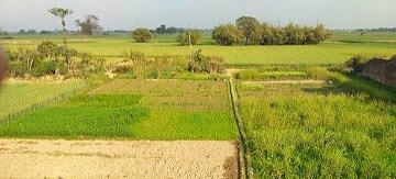  Plot For Sale in Kashipur Road