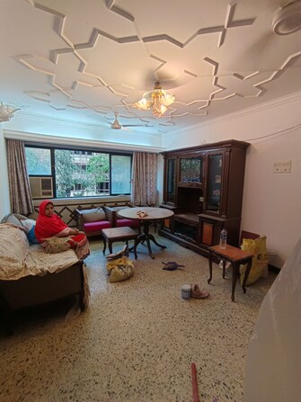 1 BHK Apartment For Rent in Shangrila CHS Azad Nagar Colaba Azad Nagar Colaba Mumbai  7804018