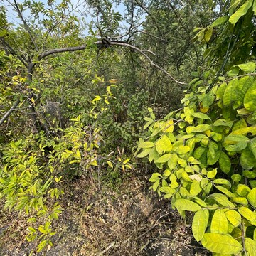  Plot For Sale in Ghatkesar