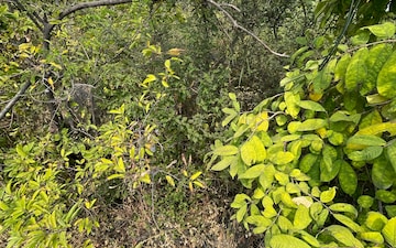 Plot For Sale in Ghatkesar