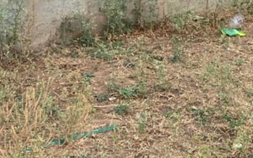 Plot For Sale in Jaisinghpura
