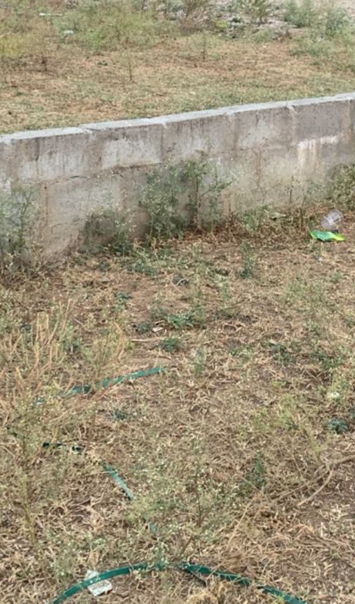 Plot For Sale in 136 Sq Yard Plot At Jaisi