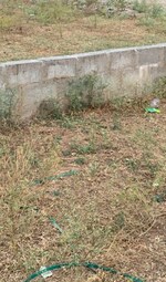 1058 Sq.Ft. Plot in Farmhouse Near Diggi Road