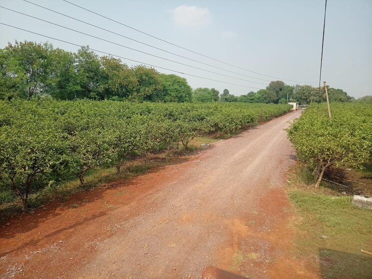 Exterior View, hirapur  1100 Sq.Ft. Plot In Hirapur Raipur 7804867