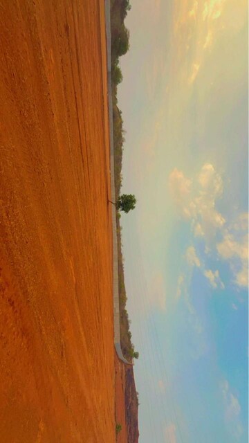  Plot For Sale in High Tarang, Bindayaka