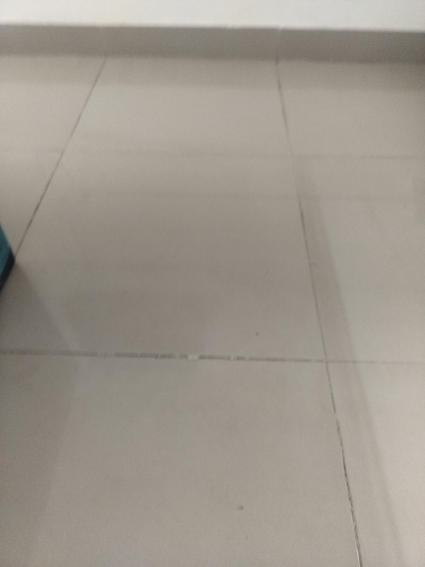 3 BHK Builder Floor For Sale in Central Park The Orchard