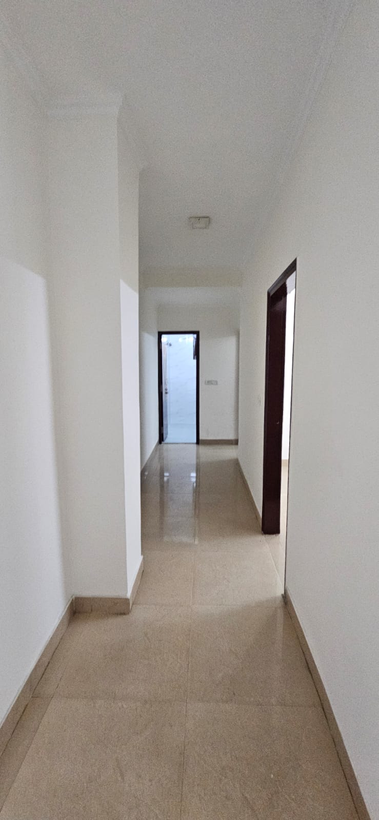 2 BHK Apartment For Rent in Paryavaran Complex Delhi  7805703