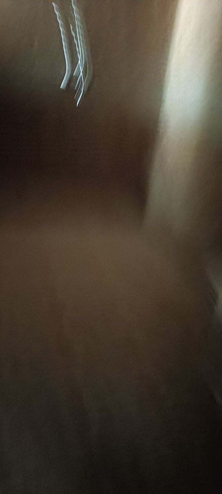 Room, jakhan 4 Bedroom 200 Sq.Yd. Independent House In Jakhan Dehradun 7805765