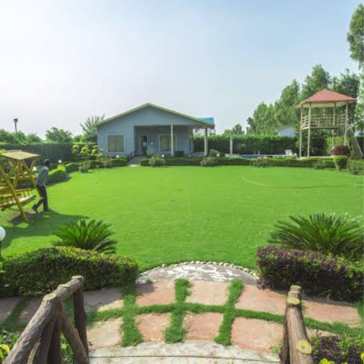Garden, sector 135  2016 Sq.Ft. Plot In Sector 135 Noida 7805850