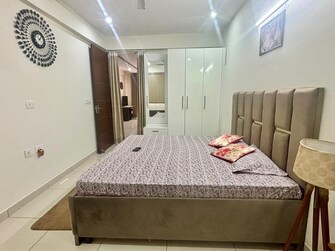 2 BHK Apartment For Resale in Highland Park Chandigarh Bhabat Zirakpur  7794368