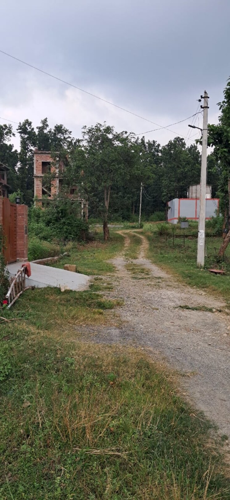 Garden, raipur  110 Sq.Yd. Plot In Raipur Dehradun 7805982