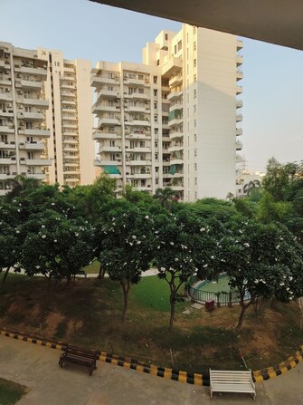 3 BHK Apartment For Rent in AEZ Aloha Sector 57 Gurgaon  7806032