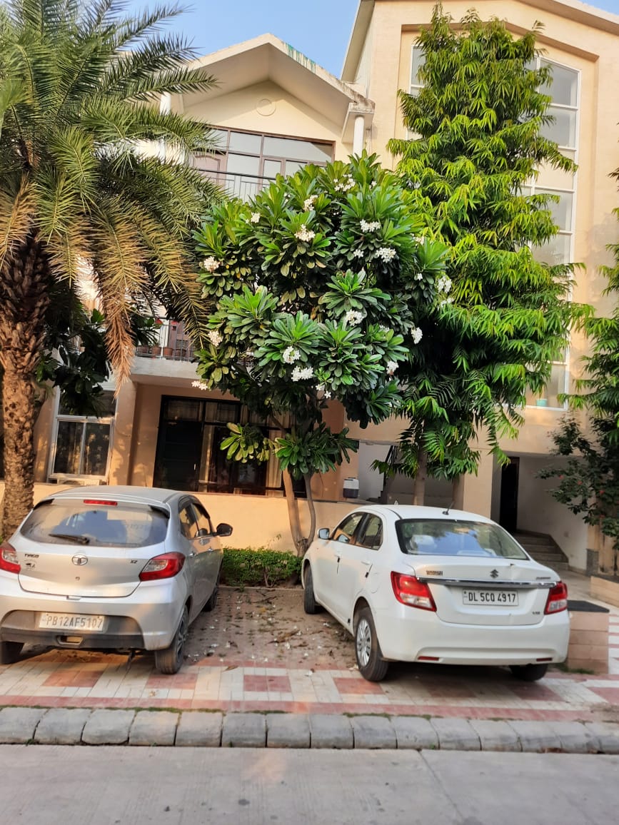 3 BHK 1725 Sq.Ft. Builder Floor in Omaxe Silver Birch