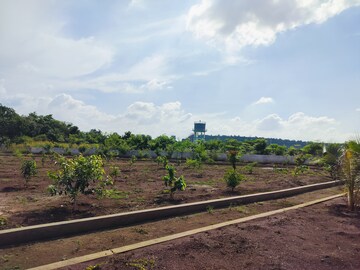 Plot Area in  Plot at Budhera – for Sale