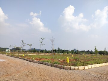 Plot Area in  Plot at Budhera – for Sale