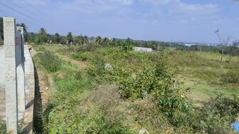 Commercial Industrial Plot 13600 Sq.Ft. For Resale in Harohalli Bangalore  7806108