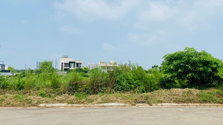 Floor Plan, dlf-hyde-park Commercial Shop 33 Sq.Yd. In South Mullanpur Chandigarh 7806173