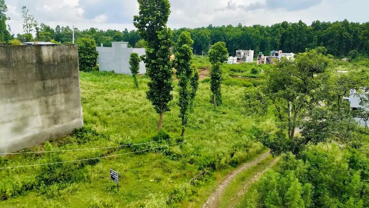 Garden, raipur road  210 Sq.Yd. Plot In Raipur Road Dehradun 7806434