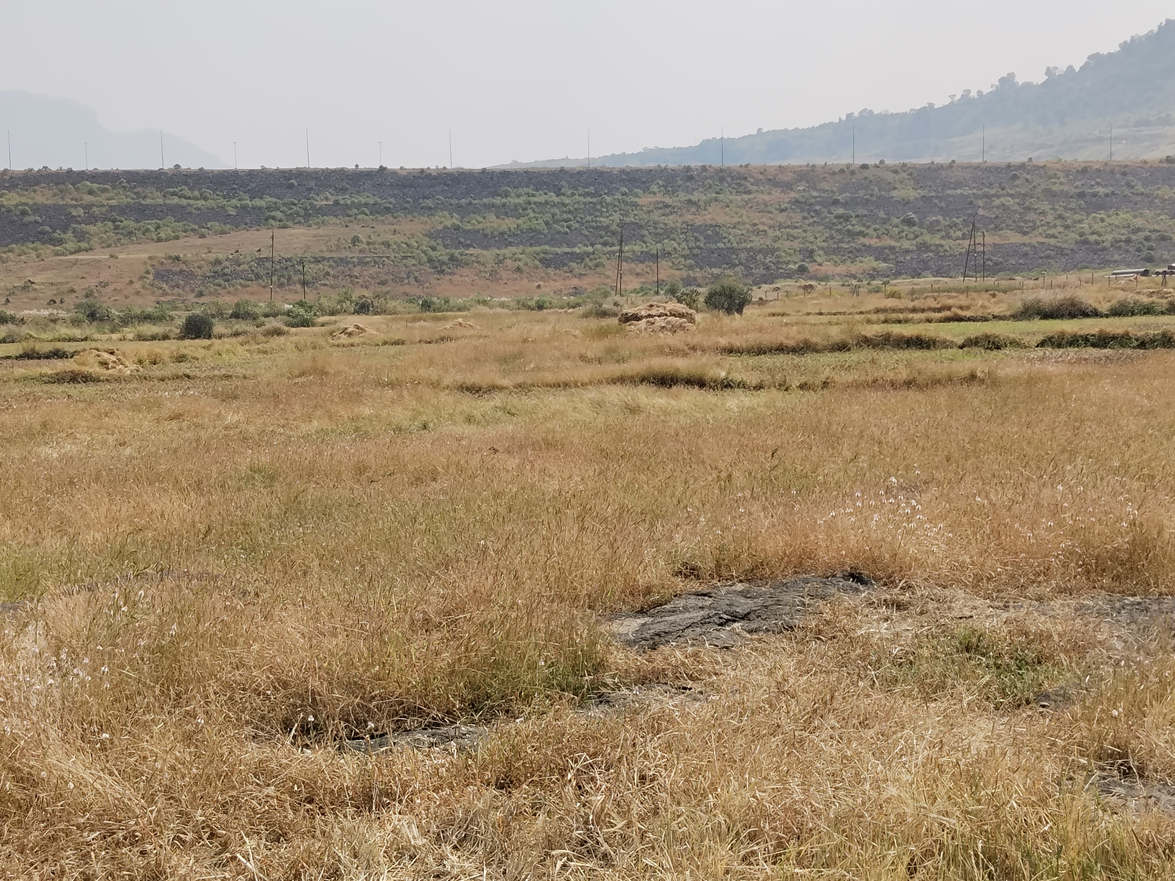 Plot For Resale in Igatpuri Nashik  7806648