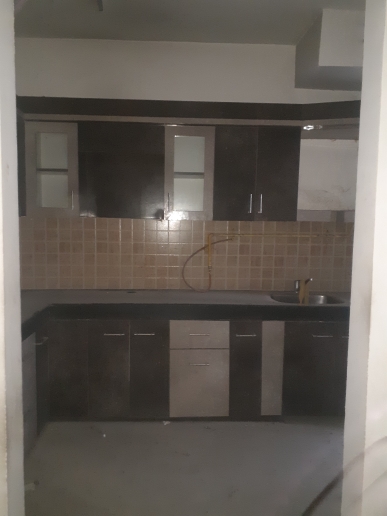 3 BHK Apartment For Rent in Mahagun Mywoods Noida Ext Sector 16c Greater Noida  7806801