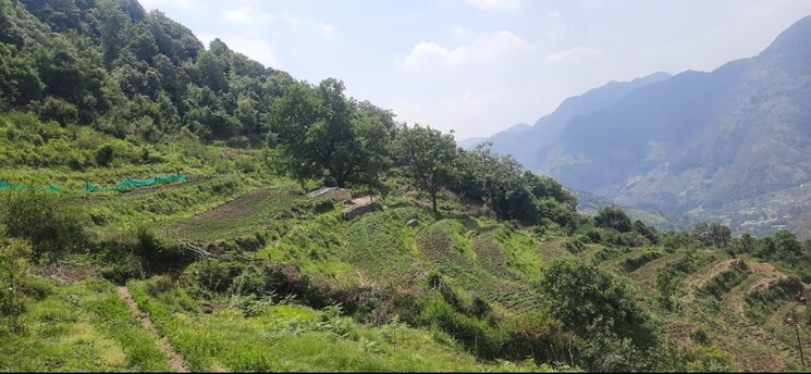 Garden, maysoori bypass  300 Sq.Yd. Plot In Maysoori Bypass Dehradun 7806871