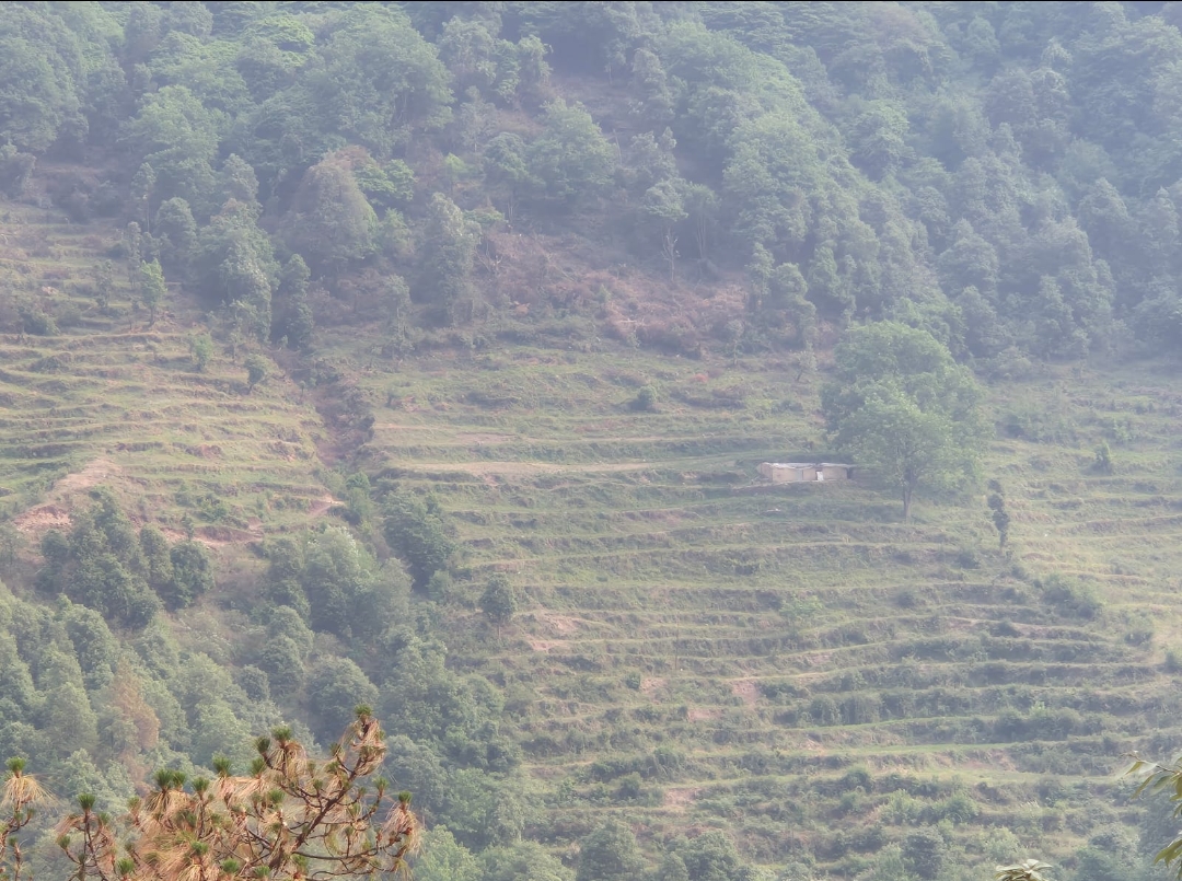 Plot For Sale in Dhanulti, Massuri, Uttrak