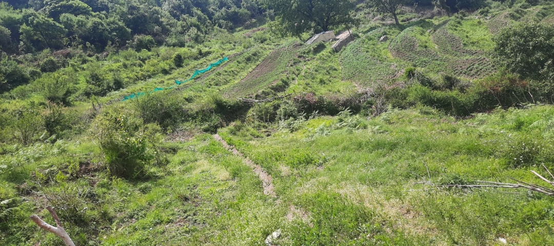 Plot For Sale in Massuri, Dhanulti, Uttrak