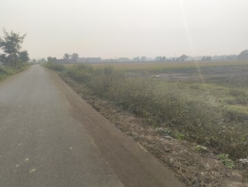 Plot Area in  Plot at Bihta – for Sale