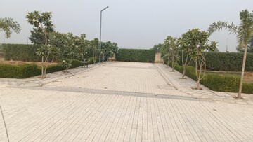  Plot – Exterior View View at Omaxe City - Omaxe Heights, Sector 97 - for Sale