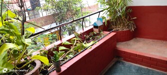 3 BHK Independent House For Rent in Basavangudi Bangalore  7807465