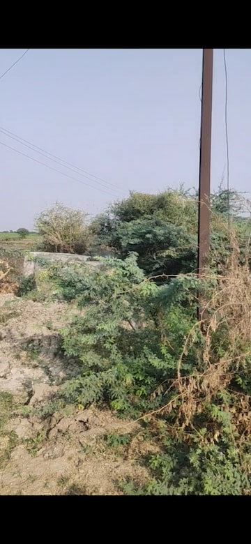 Commercial Land 14000 Sq.Yd. For Resale in SananD-Viramgam Road Ahmedabad  7807583