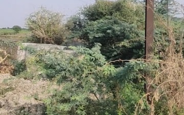 Land For Sale in SananD-Viramgam Road