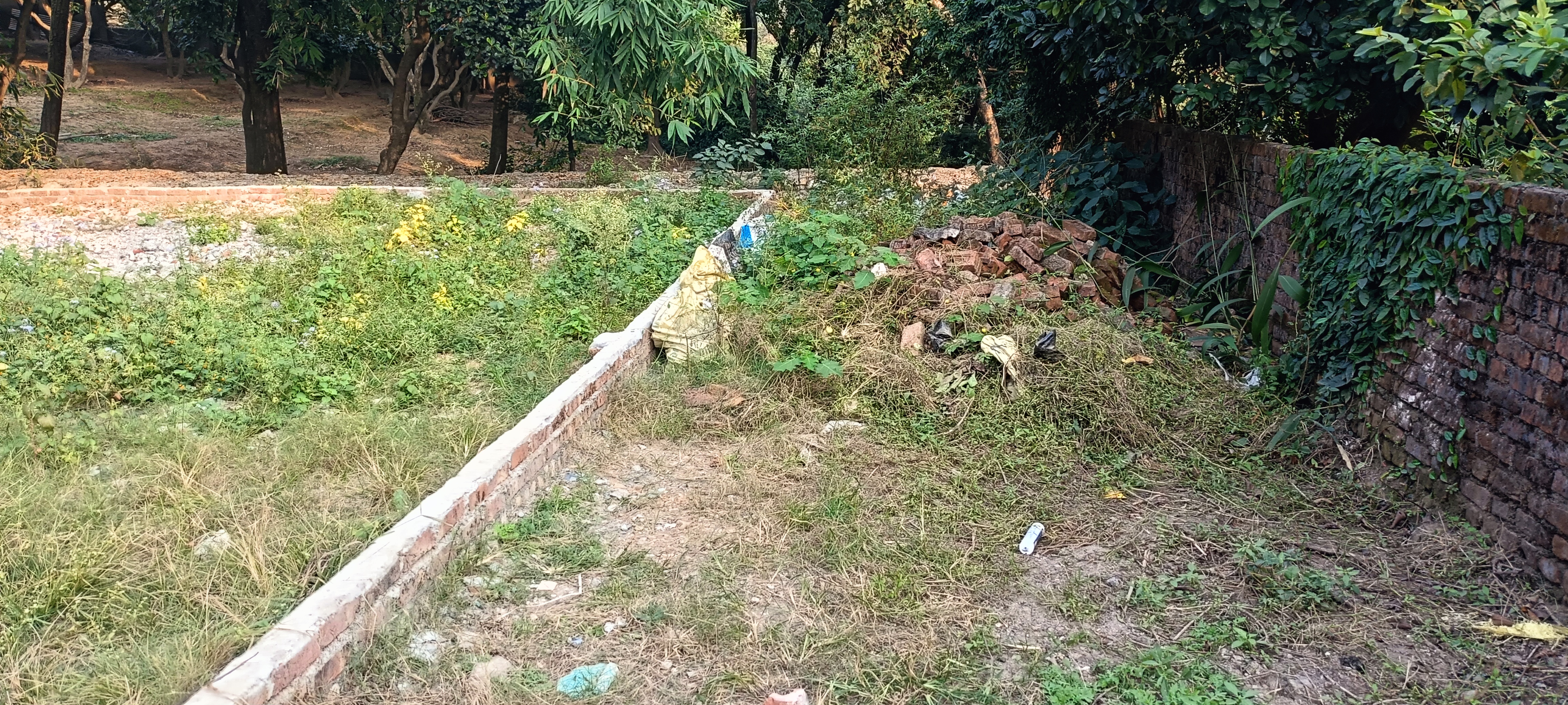 Plot For Sale in Anarwala