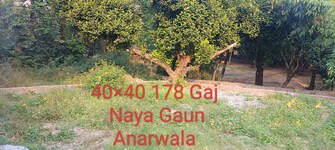 Plot For Resale in Anarwala Dehradun  7807602