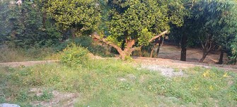 Plot For Resale in Anarwala Dehradun  7807602