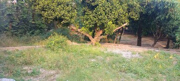 Plot Area in  Plot at Anarwala – for Sale