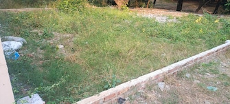 Plot For Resale in Anarwala Dehradun  7807602