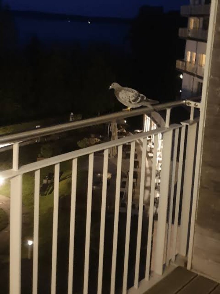 Balcony, kw-srishti 2 Bedroom 1040 Sq.Ft. Apartment In Raj Nagar Extension Ghaziabad 7807829