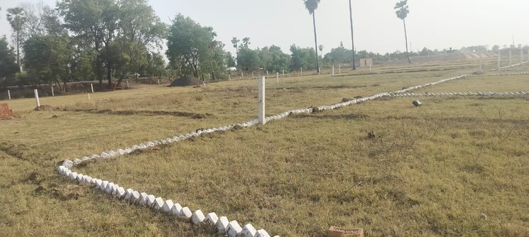 undefined, bihta  1000 Sq.Ft. Plot In Bihta Patna 7808051