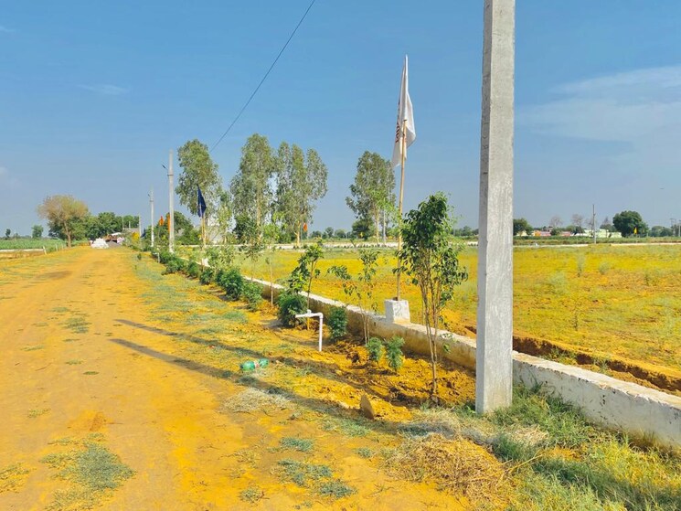 Garden, jewar  200 Sq.Yd. Plot In Jewar Greater Noida 7808354