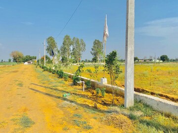  Plot For Sale in Yamuna Expressway