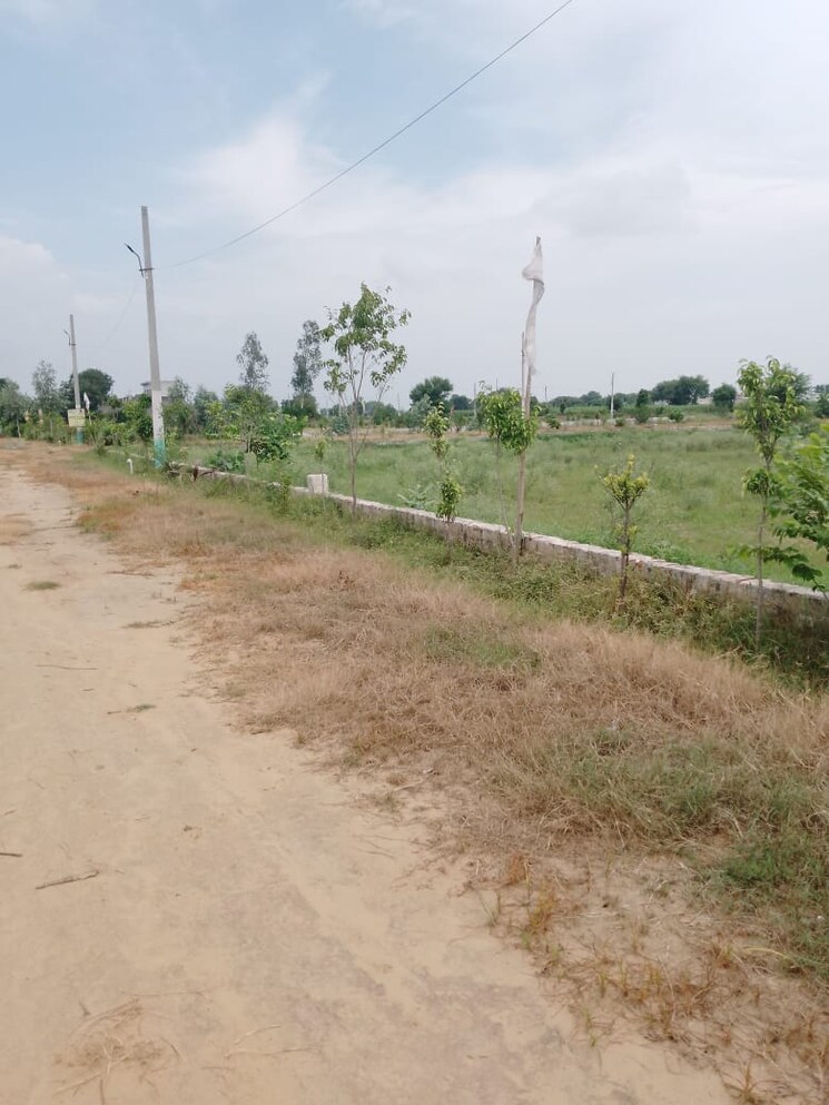 undefined, tappal  300 Sq.Yd. Plot In Tappal Aligarh 7808405