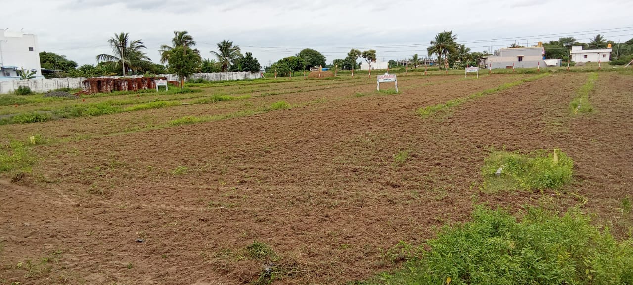 Plot For Resale in Sathyamangalam Erode  7807869