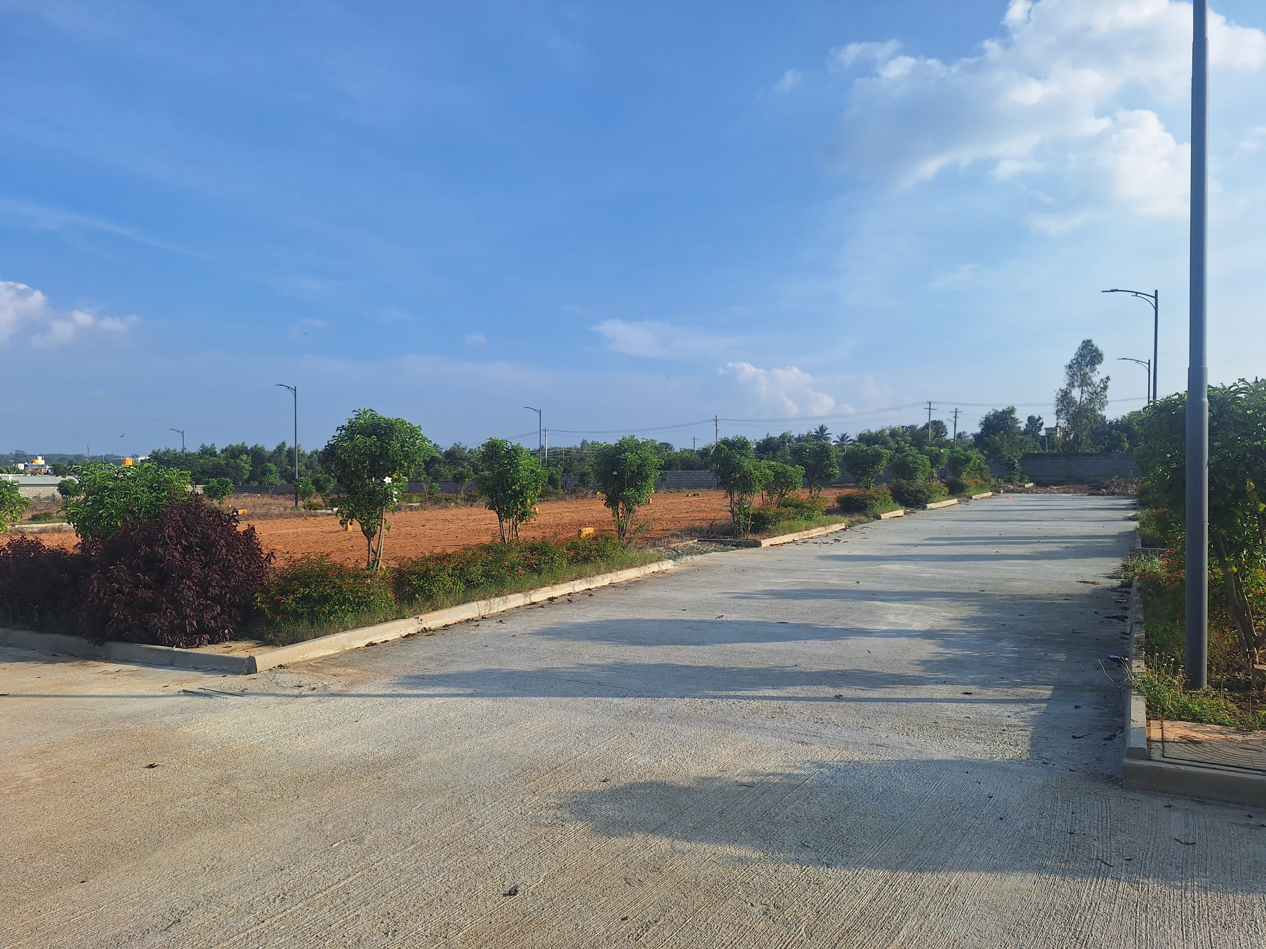 Plot For Resale in Jigani Bangalore  7808655