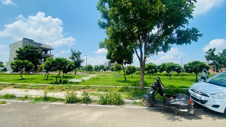 Garden, omaxe-new-chandigarh  150 Sq.Yd. Plot In North Mullanpur Chandigarh 7808946
